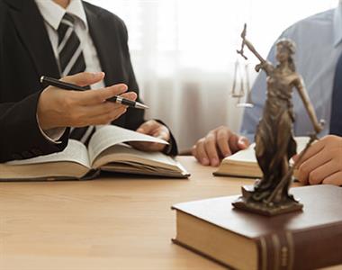 Government representation Image